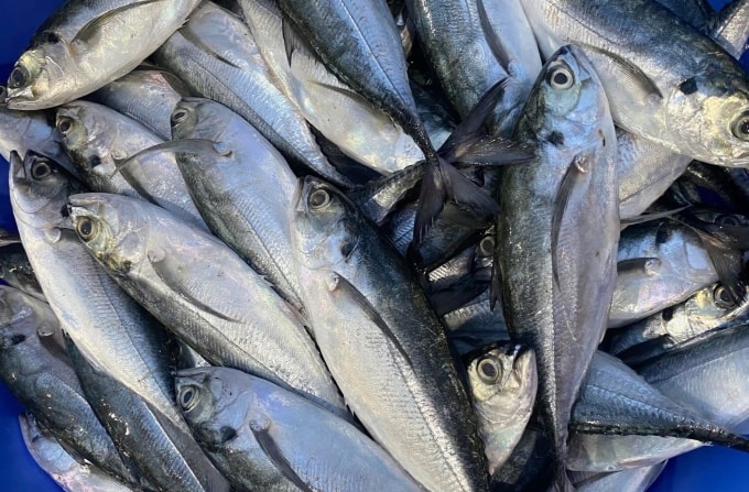 Thay vì chọn mắt cá, hãy ăn thịt cá để bổ sung omega-3 giúp mắt sáng khỏe. Ảnh: Đình Diệu