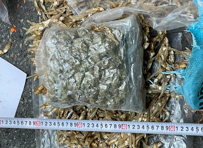 Số lượng cần sa bị thu giữ. Ảnh: Công an cung cấp