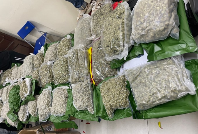 Cảnh sát xác định hàng tấn cần sa đã được tuồn về Việt Nam. Ảnh: Công an cung cấp