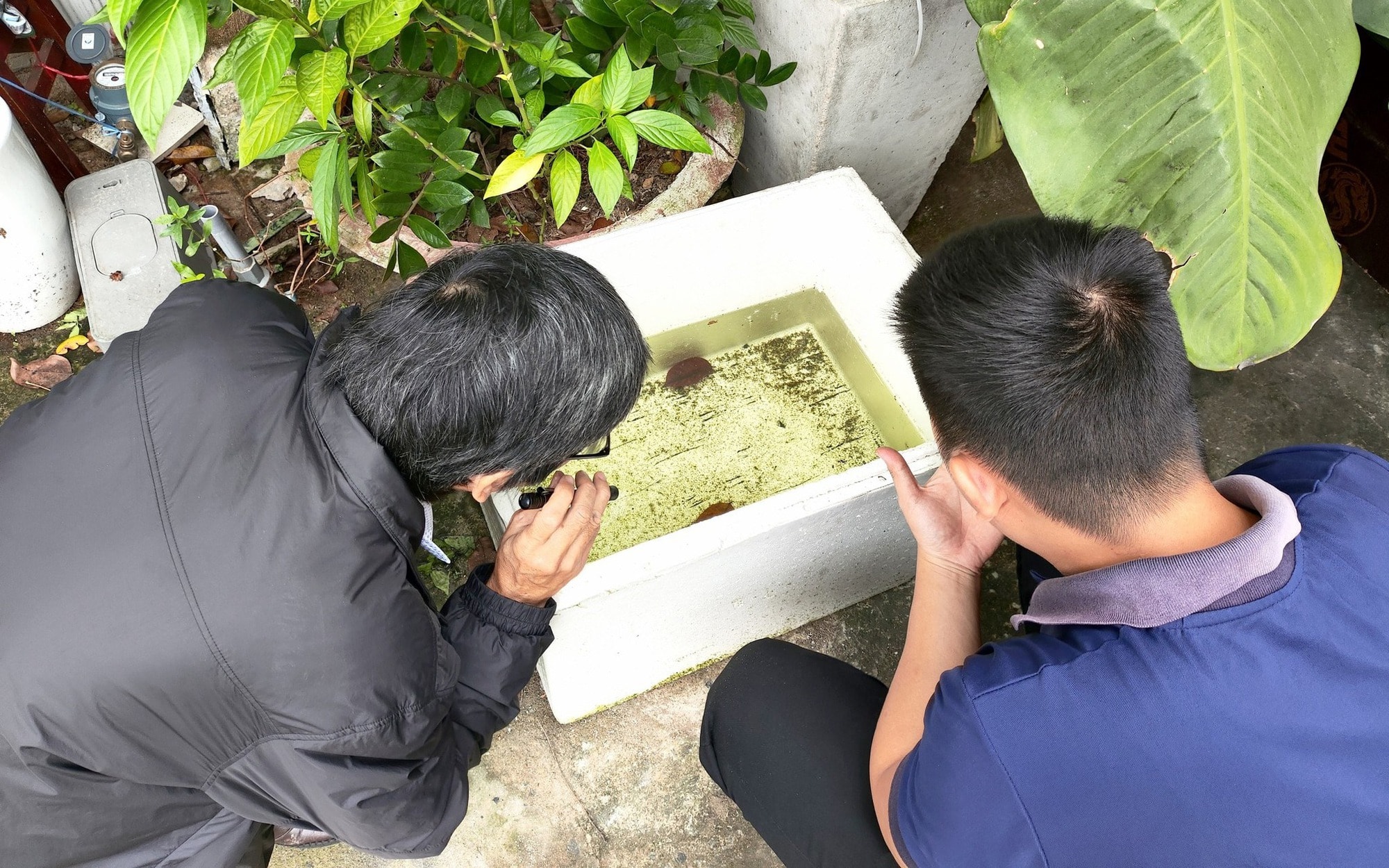 Hội nghị sốt xuất huyết toàn quốc đặt mục tiêu chung tay đẩy lùi dịch bệnh- Ảnh 3.