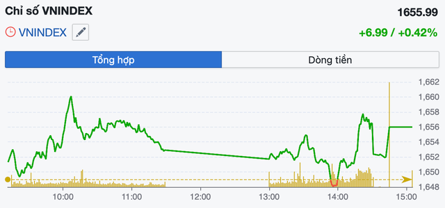VN-Index giữ sắc xanh giữa nhịp phân hóa phiên 20/11- Ảnh 1.