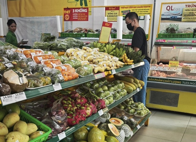 - Ảnh 3. - Ảnh 3.