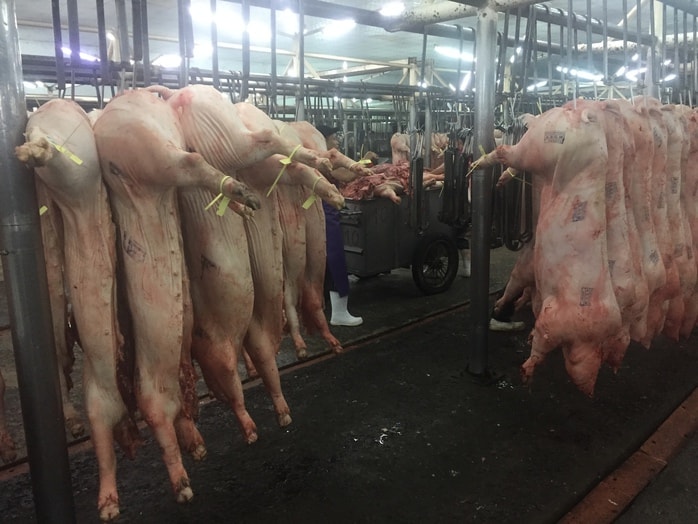 - Ảnh 1. - Ảnh 1.