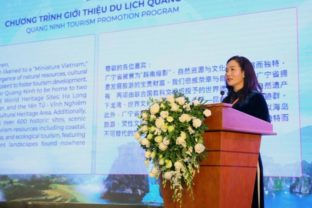 Quảng Ninh giới thiệu tiềm năng du lịch tại “Ngày Lữ hành 2025” - 1 Quảng Ninh giới thiệu tiềm năng du lịch tại “Ngày Lữ hành 2025” - 1