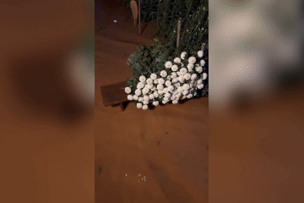 Chủ vườn Lâm Đồng mất trắng nửa tỷ đồng vì nước lũ cuốn trôi nông trại hoa - 3 Chủ vườn Lâm Đồng mất trắng nửa tỷ đồng vì nước lũ cuốn trôi nông trại hoa - 3