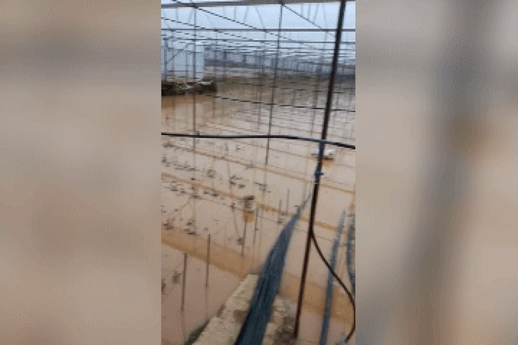 Chủ vườn Lâm Đồng mất trắng nửa tỷ đồng vì nước lũ cuốn trôi nông trại hoa - 1 Chủ vườn Lâm Đồng mất trắng nửa tỷ đồng vì nước lũ cuốn trôi nông trại hoa - 1