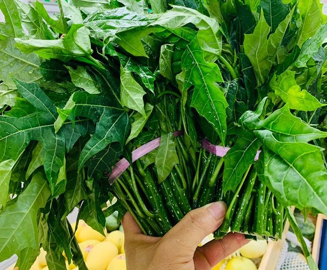 Cây rau nghe tên đã ngọt, trở thành món ăn lạ miệng được nhiều người ưa chuộng - Ảnh 2.