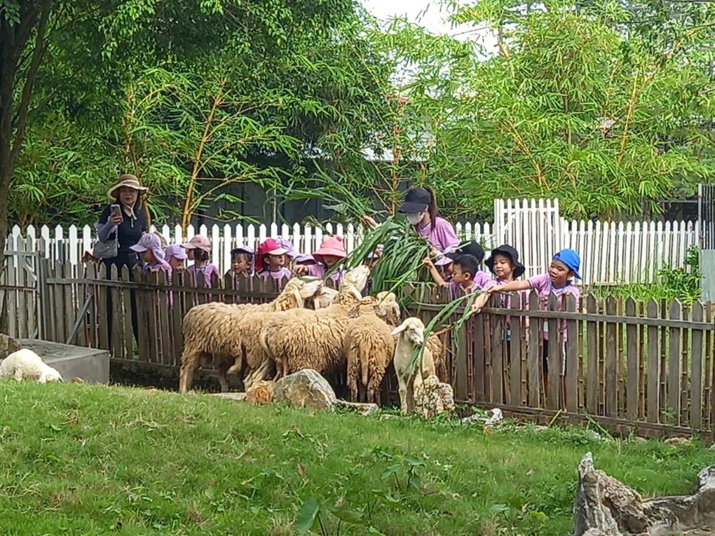 Bắc Ninh xây dựng hệ sinh thái số phát triển du lịch nông thôn - 4 Bắc Ninh xây dựng hệ sinh thái số phát triển du lịch nông thôn - 4