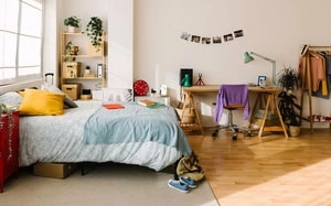 Phát hiện chấn động về hành vi chưa từng ghi nhận ở sói - Ảnh 4.