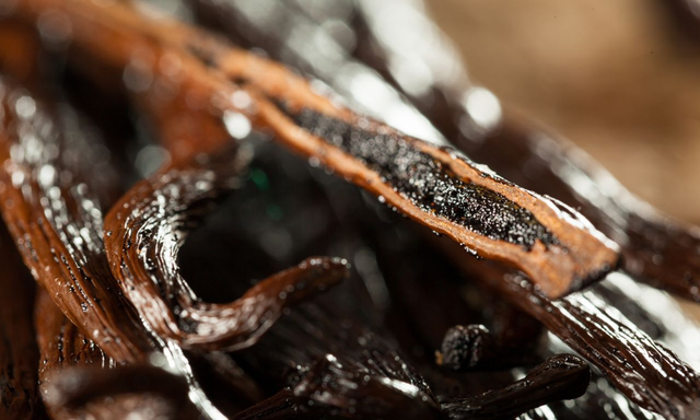 Loại cây tưởng bỏ đi không ngờ hái quả bán 15 triệu/kg, ở Việt Nam cũng có người trồng - Ảnh 5.