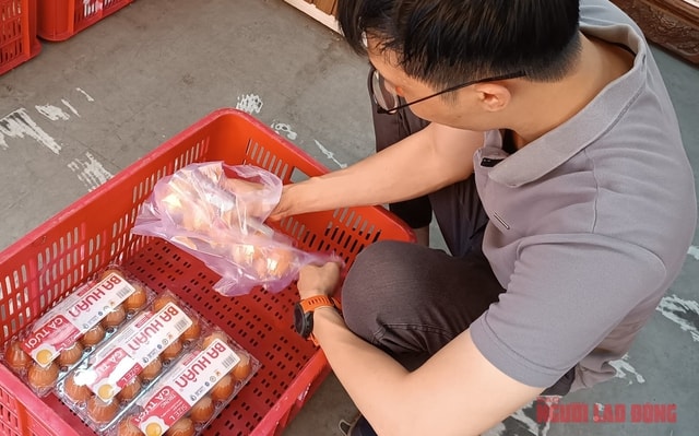 - Ảnh 2. - Ảnh 2.