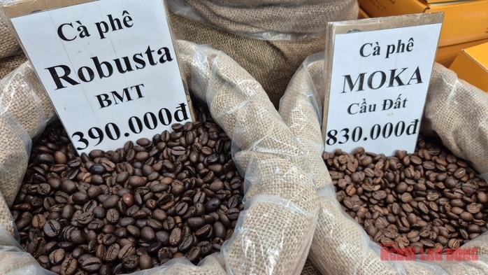 Giá cà phê hôm nay 22-11: Giảm mạnh khi Mỹ xóa thuế cho cà phê Brazil - Ảnh 1.