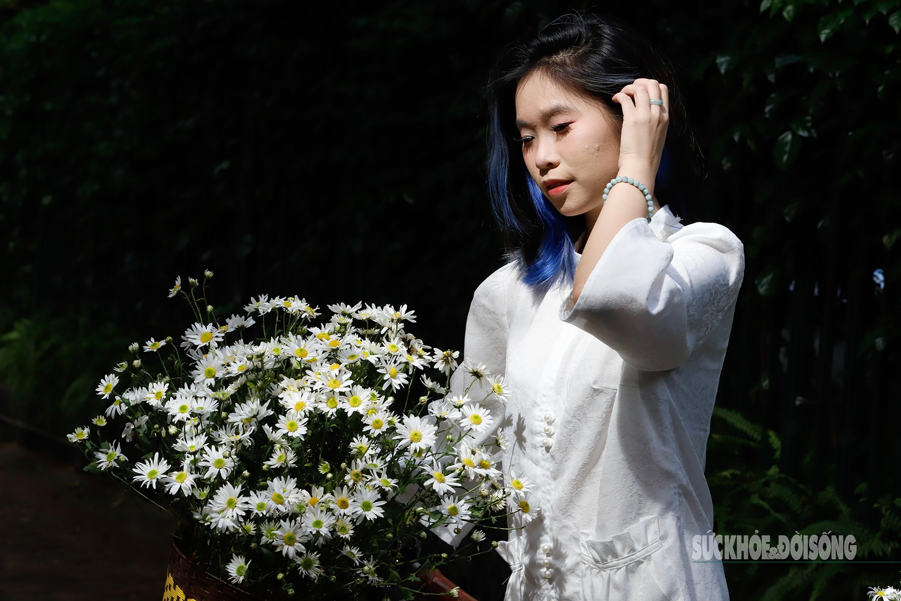 Hà Nội dịu dàng mùa hoa 'gọi đông'- Ảnh 4.