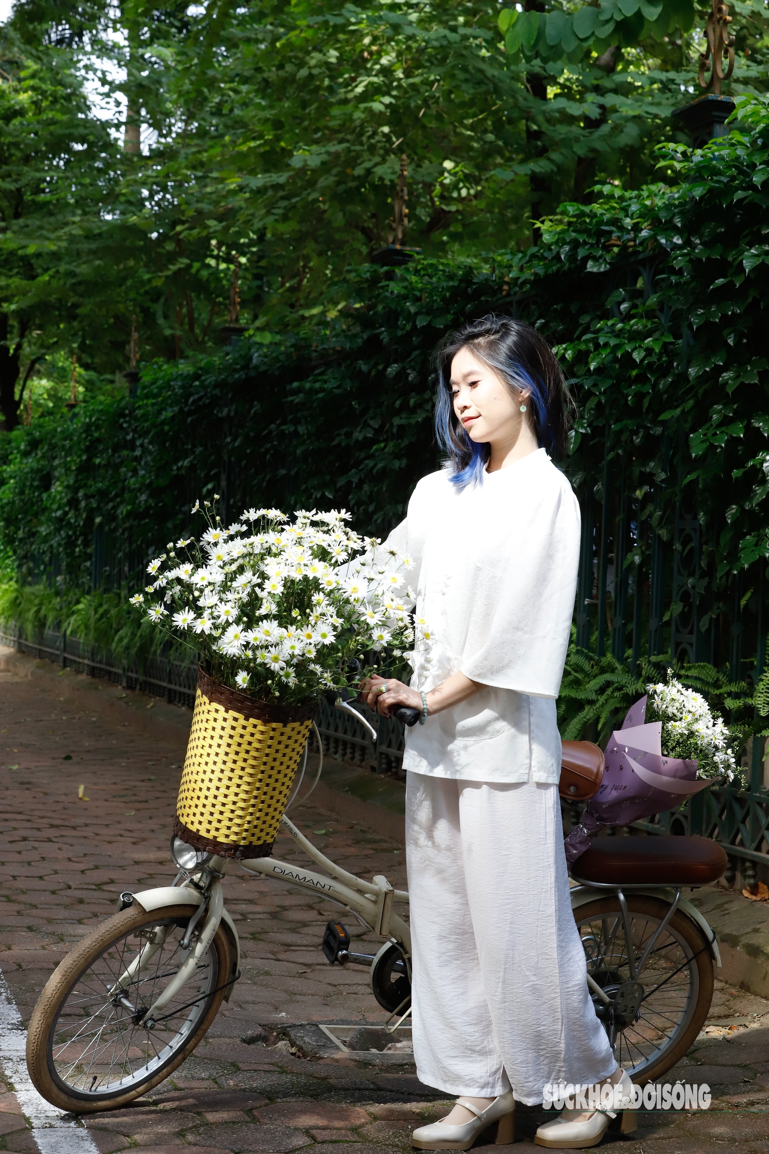 Hà Nội dịu dàng mùa hoa 'gọi đông'- Ảnh 1.