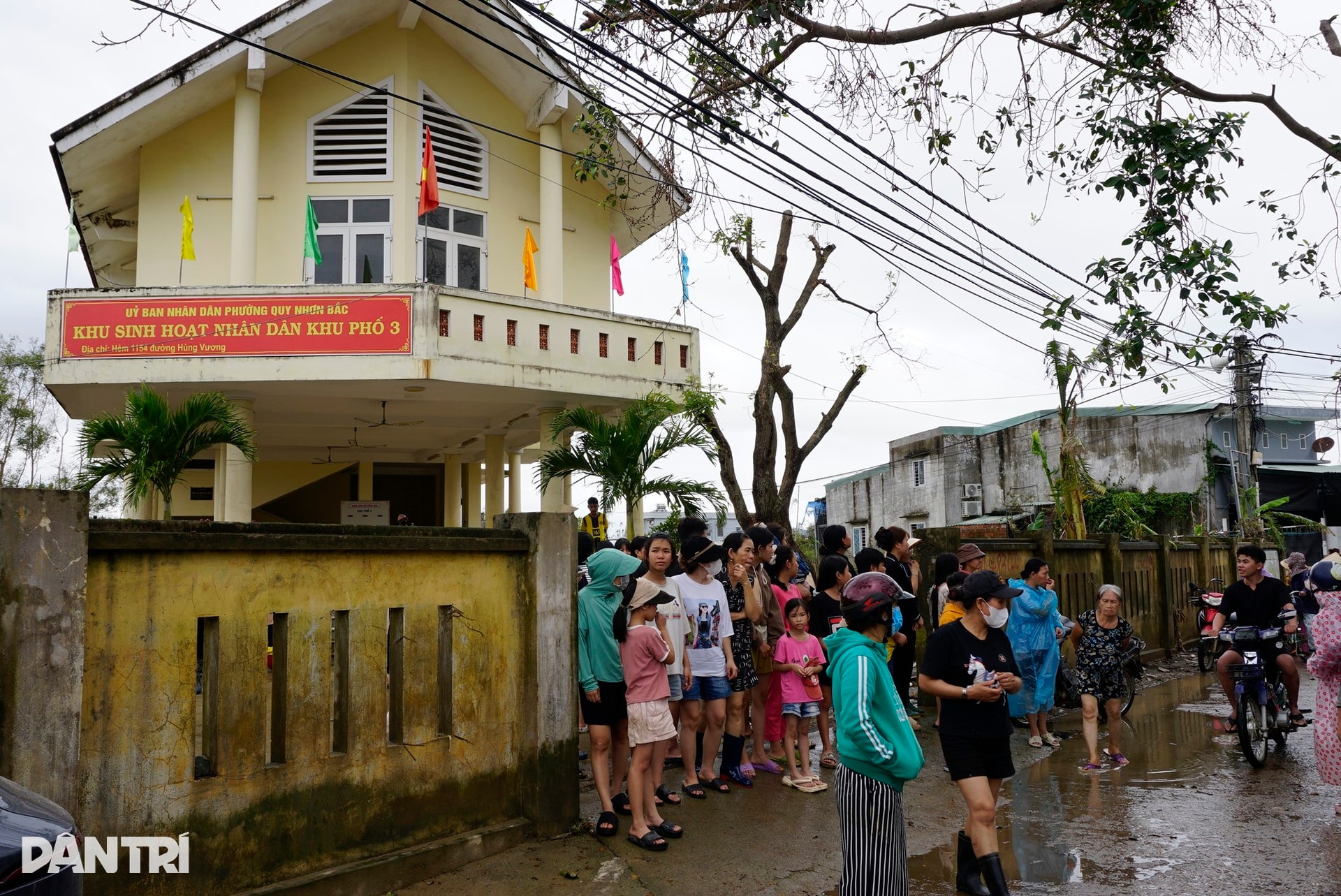 Người phụ nữ nghèo bật khóc vì 6 con bò bị lũ dữ cuốn trôi - 9