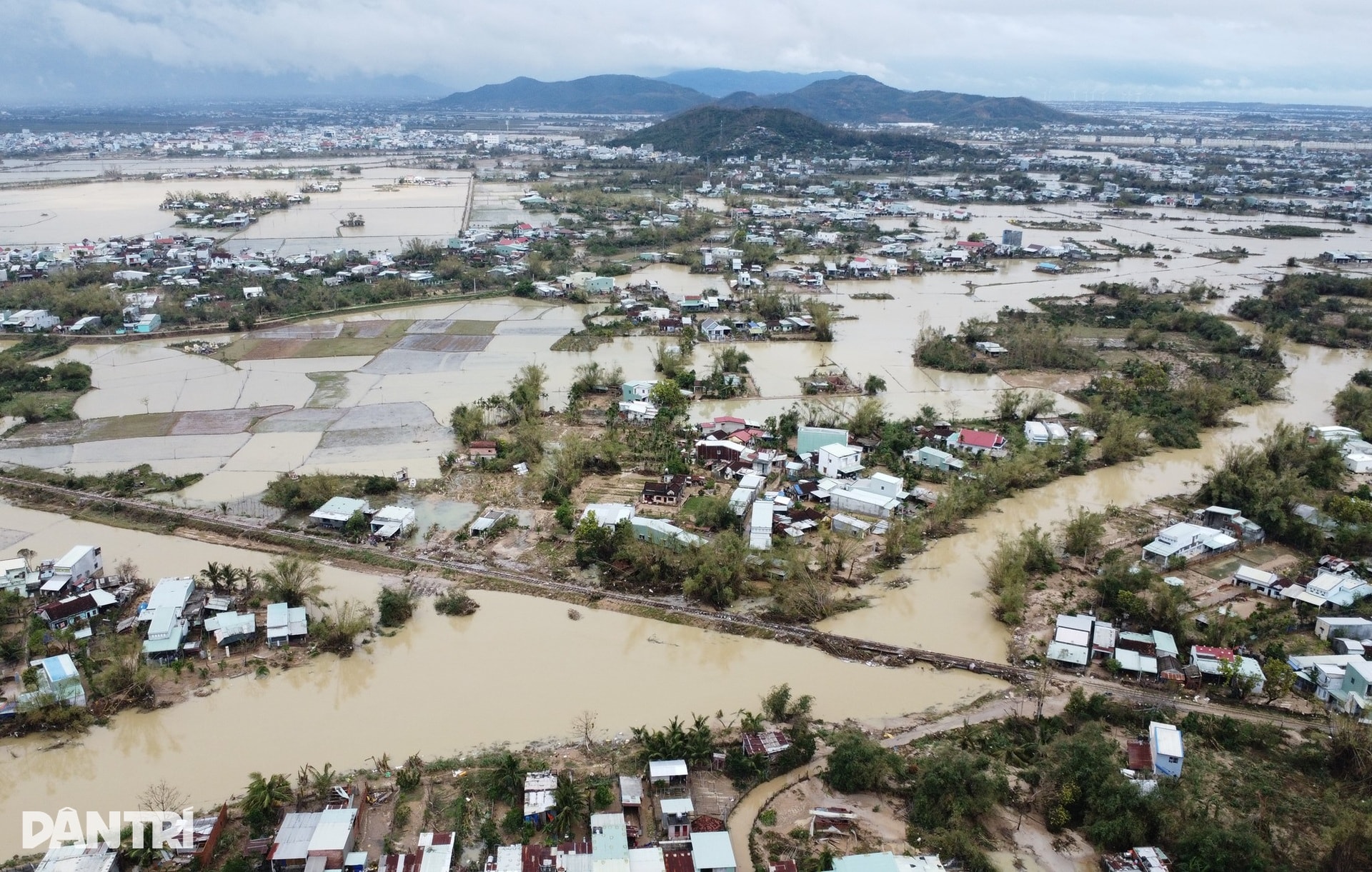 Người phụ nữ nghèo bật khóc vì 6 con bò bị lũ dữ cuốn trôi - 1