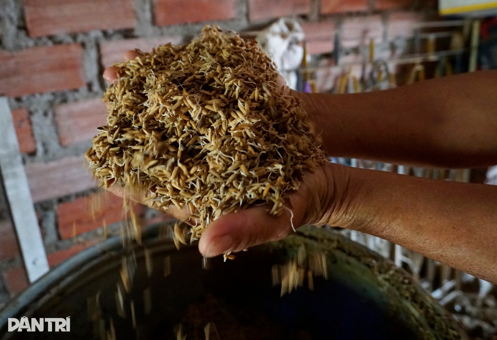 Người phụ nữ nghèo bật khóc vì 6 con bò bị lũ dữ cuốn trôi - 4