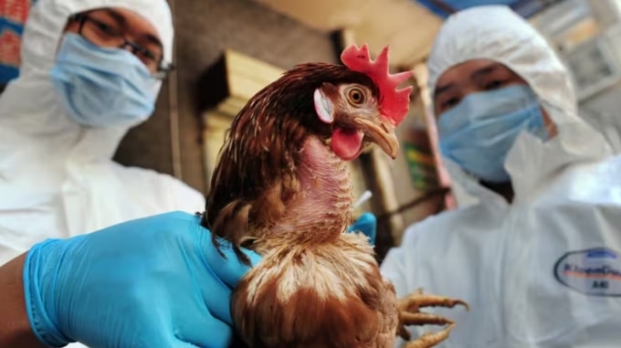 Ảnh minh họa: SBS