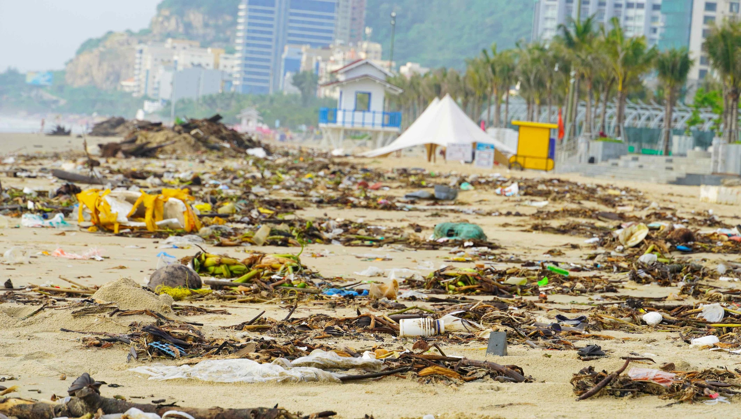 Bãi Sau Vũng Tàu "oằn mình" trước làn sóng rác thải đại dương - Ảnh 3.