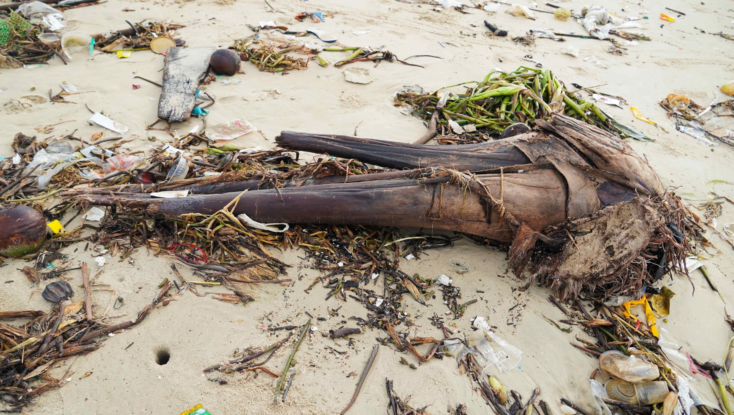 Bãi Sau Vũng Tàu "oằn mình" trước làn sóng rác thải đại dương - Ảnh 5.