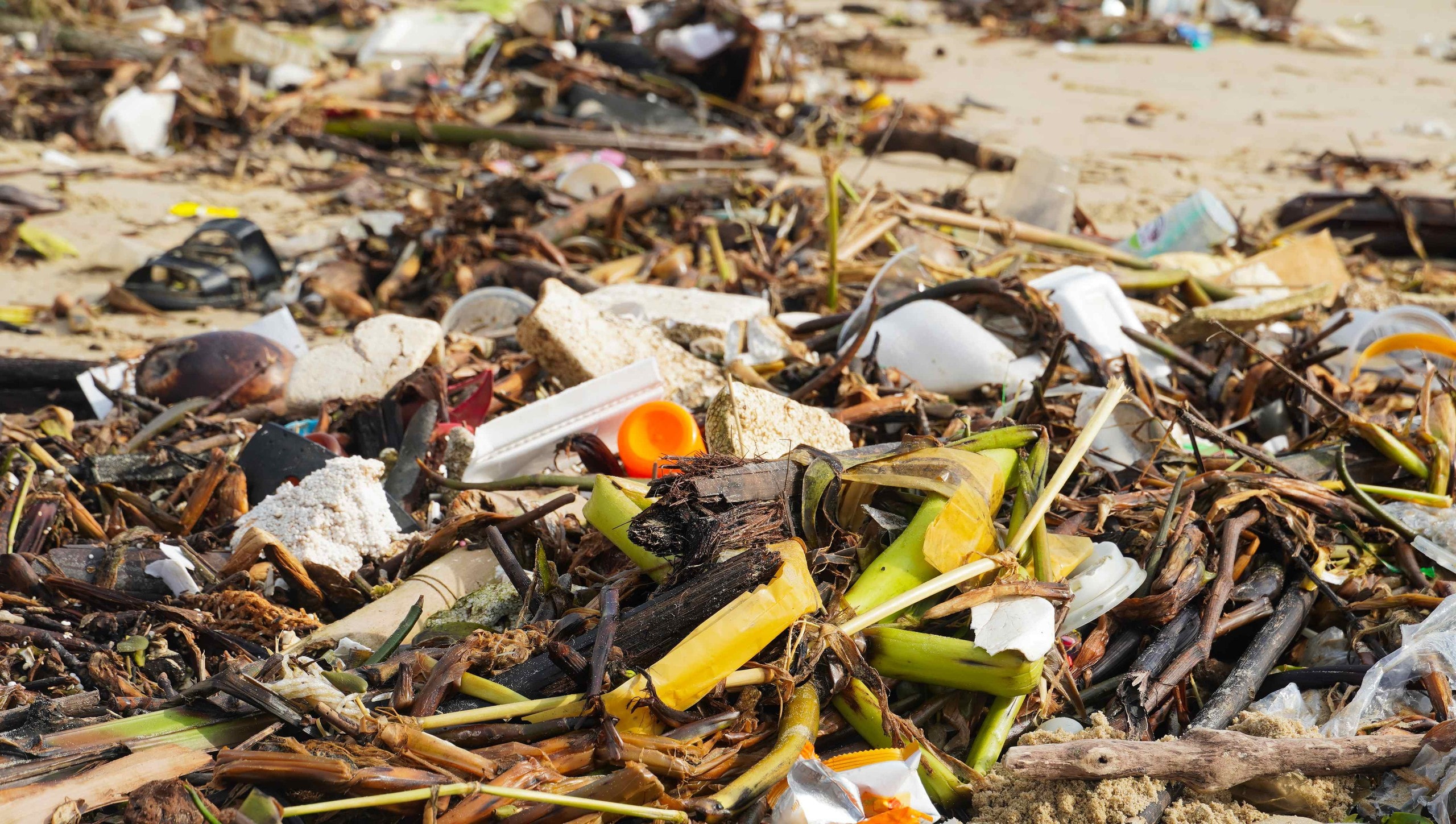 Bãi Sau Vũng Tàu "oằn mình" trước làn sóng rác thải đại dương - Ảnh 4.