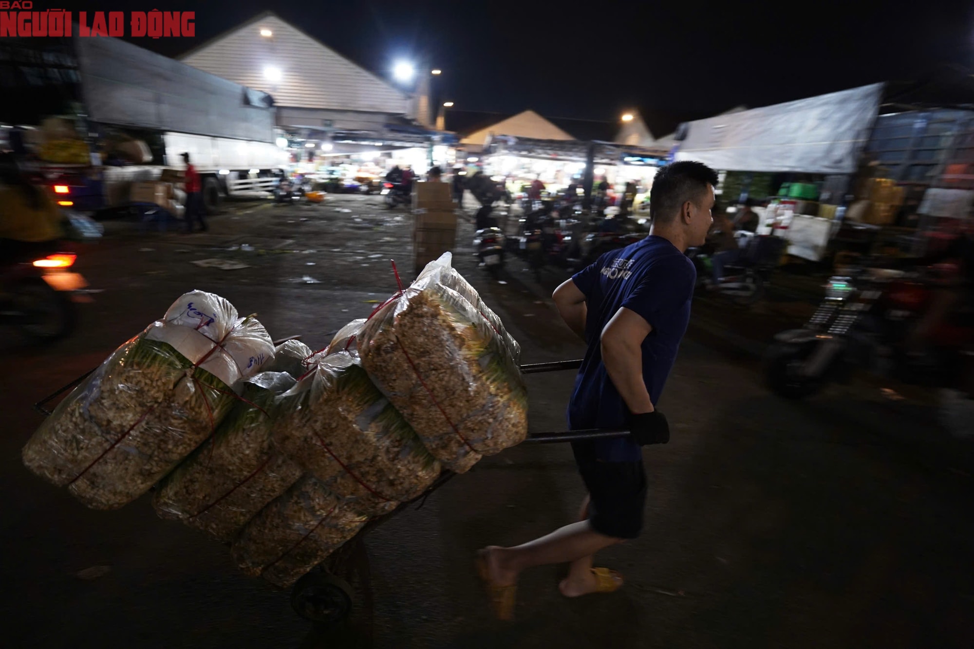 - Ảnh 2. - Ảnh 2.