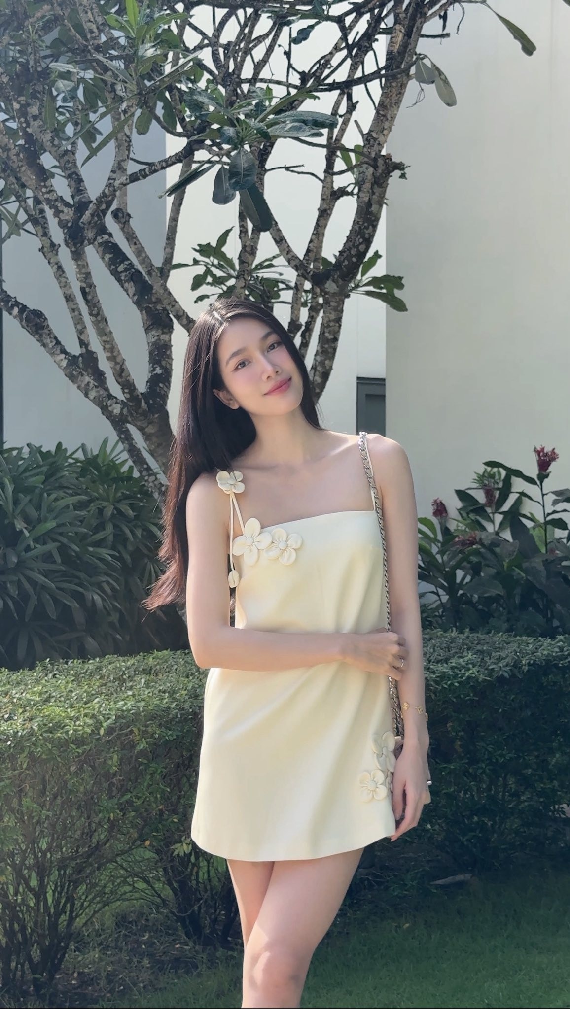 Sen Vàng ảnh 8 Sen Vang anh 8