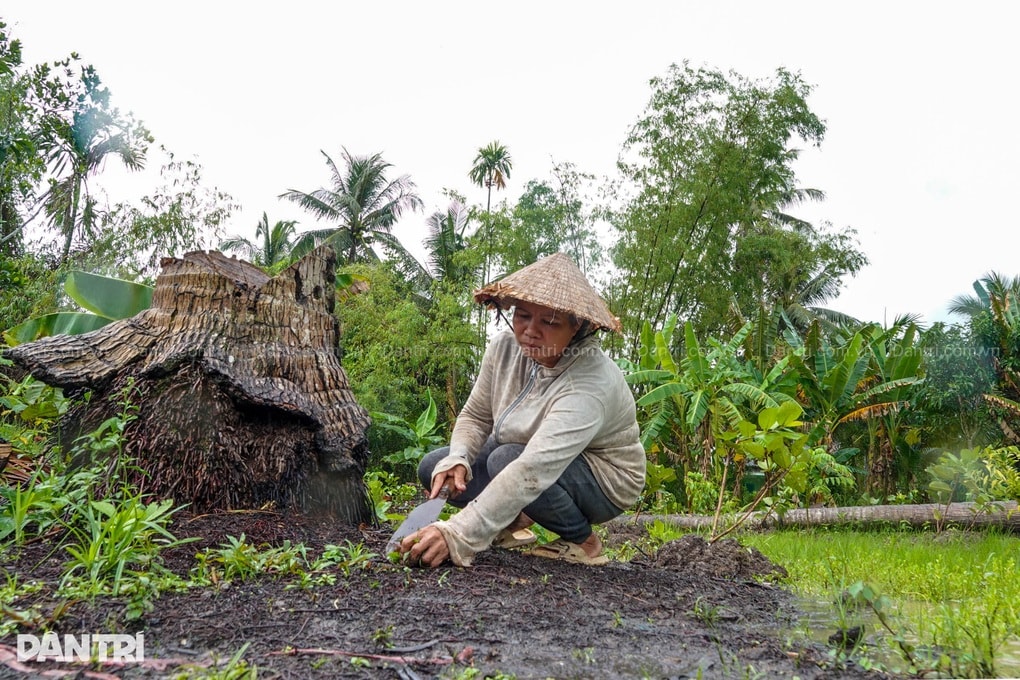 Mẹ đơn thân lay lắt nuôi con gái 9 tuổi trong căn nhà sắp sập - 4 Mẹ đơn thân lay lắt nuôi con gái 9 tuổi trong căn nhà sắp sập - 4