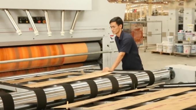 Nhân viên nhà máy đang kiểm tra bao bì carton. Ảnh: Sovi