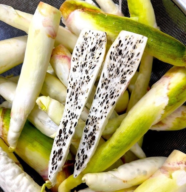 Đặc sản "sâm trong nước": Giàu vitamin, nghèo calo, giúp giảm cân, làm đủ món ngon ngày lạnh - Ảnh 3.