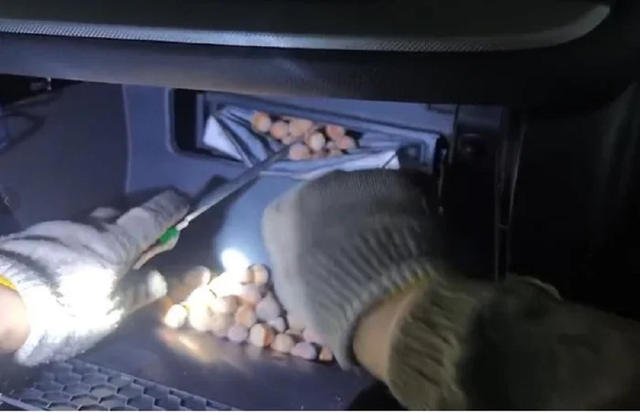 Nghe tiếng động lạ, người đàn ông cúi xuống gầm xe thấy cảnh tượng "nổi da gà"- Ảnh 1. Nghe tiếng động lạ, người đàn ông cúi xuống gầm xe thấy cảnh tượng "nổi da gà"- Ảnh 1.