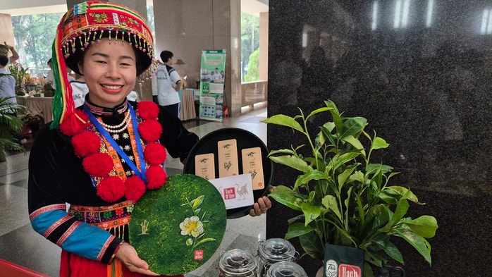 Rộn ràng khởi nghiệp ở vùng cao - Ảnh 1. Rộn ràng khởi nghiệp ở vùng cao - Ảnh 1.