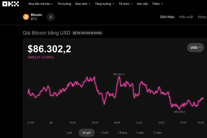 Thị trường tiền số hôm nay, 24-11: Bitcoin đang giấu điều gì trước giờ G cuối tháng 11? - Ảnh 1.