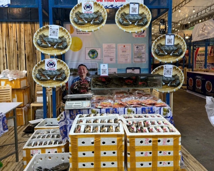 Sự kiện Xin chào Cà Mau tại TP HCM mang về doanh thu hàng chục tỉ đồng - Ảnh 1.