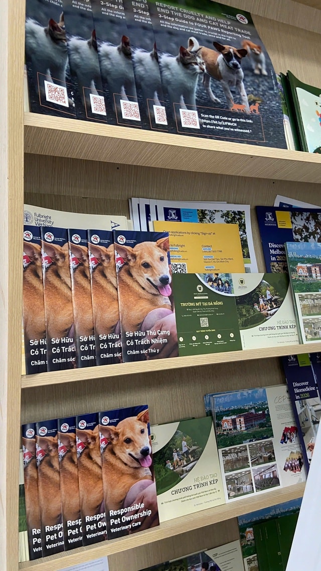 Giáo dục tại trường học về buôn bán thịt chó, mèo trước thực trạng hơn 6 triệu con bị giết hại mỗi năm- Ảnh 1.