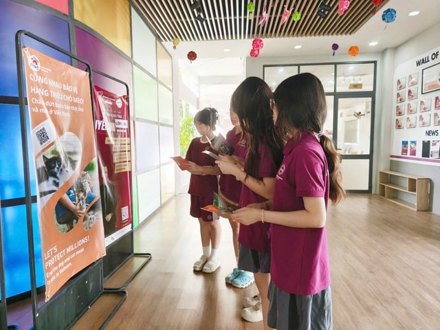 Giáo dục tại trường học về buôn bán thịt chó, mèo trước thực trạng hơn 6 triệu con bị giết hại mỗi năm- Ảnh 2.