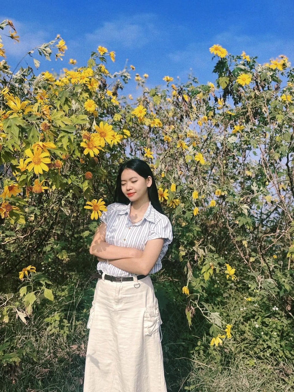 Đôi nam nữ vô tư bẻ hoa dã quỳ ở Ba Vì dù đứng cạnh biển cấm  - 2