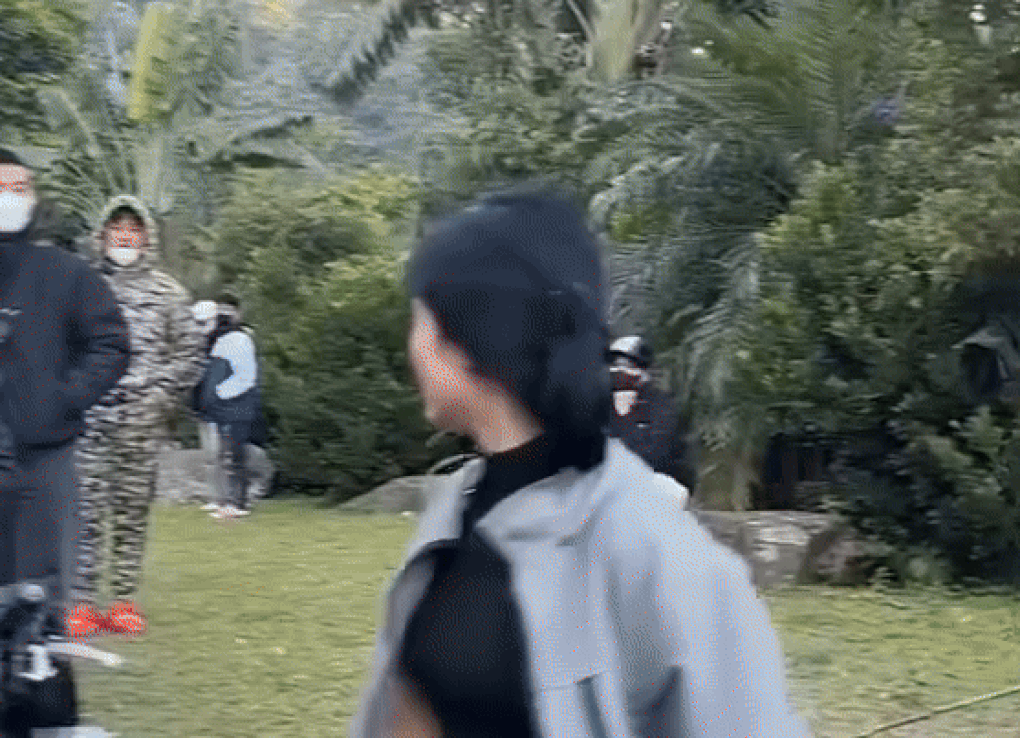 Đôi nam nữ vô tư bẻ hoa dã quỳ ở Ba Vì dù đứng cạnh biển cấm  - 1