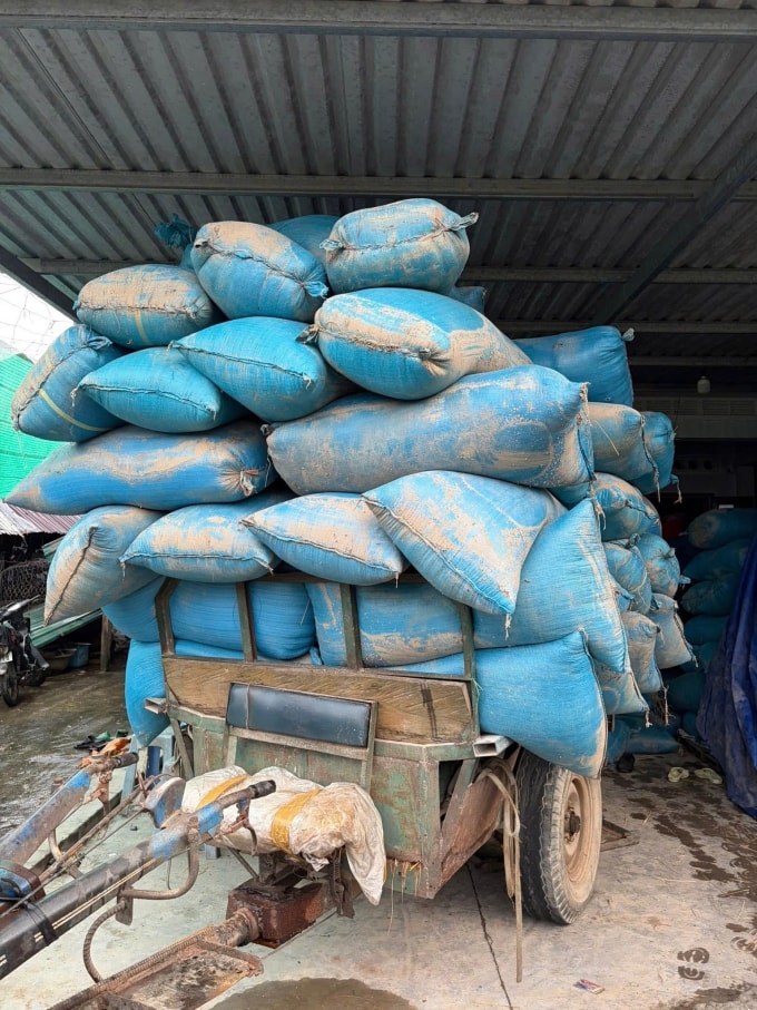 Một phần nhỏ trong kho lúa 70 tấn của gia đình Quỳnh Hương ở thôn Phước Bình Nam, phường Phú Yên, hôm 24/11. Ảnh: Nhân vật cung cấp