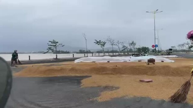 Bán tháo lúa sau lũ