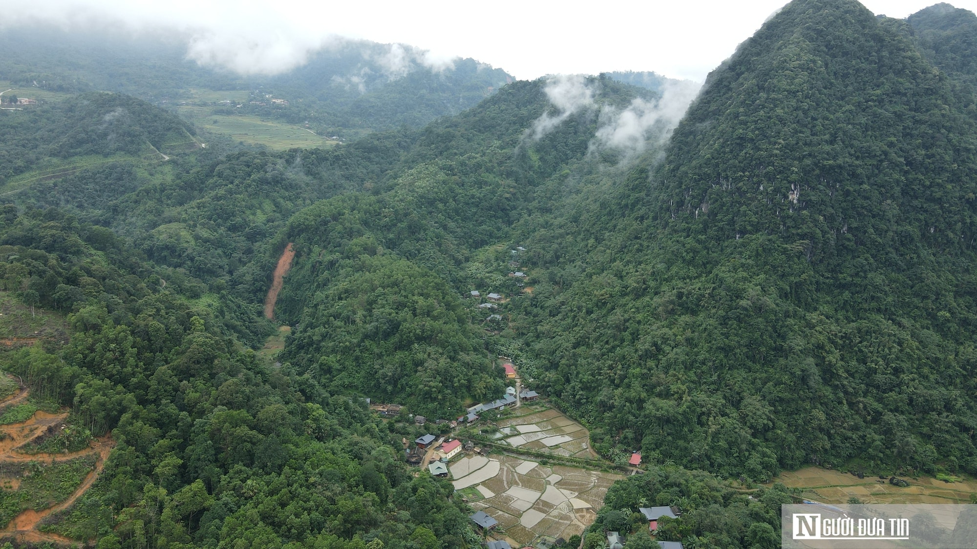 Có một thứ quả nhỏ, vỏ thơm giúp phát triển kinh tế bền vững ở vùng cao - Ảnh 2.