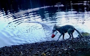 Phát hiện xác tàu cổ bí ẩn gây chấn động - Ảnh 4.