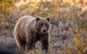 Phát hiện xác tàu cổ bí ẩn gây chấn động - Ảnh 3.