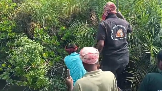 Đi bắt cua, người đàn ông bị hổ dữ vồ tử vong - Ảnh 1.