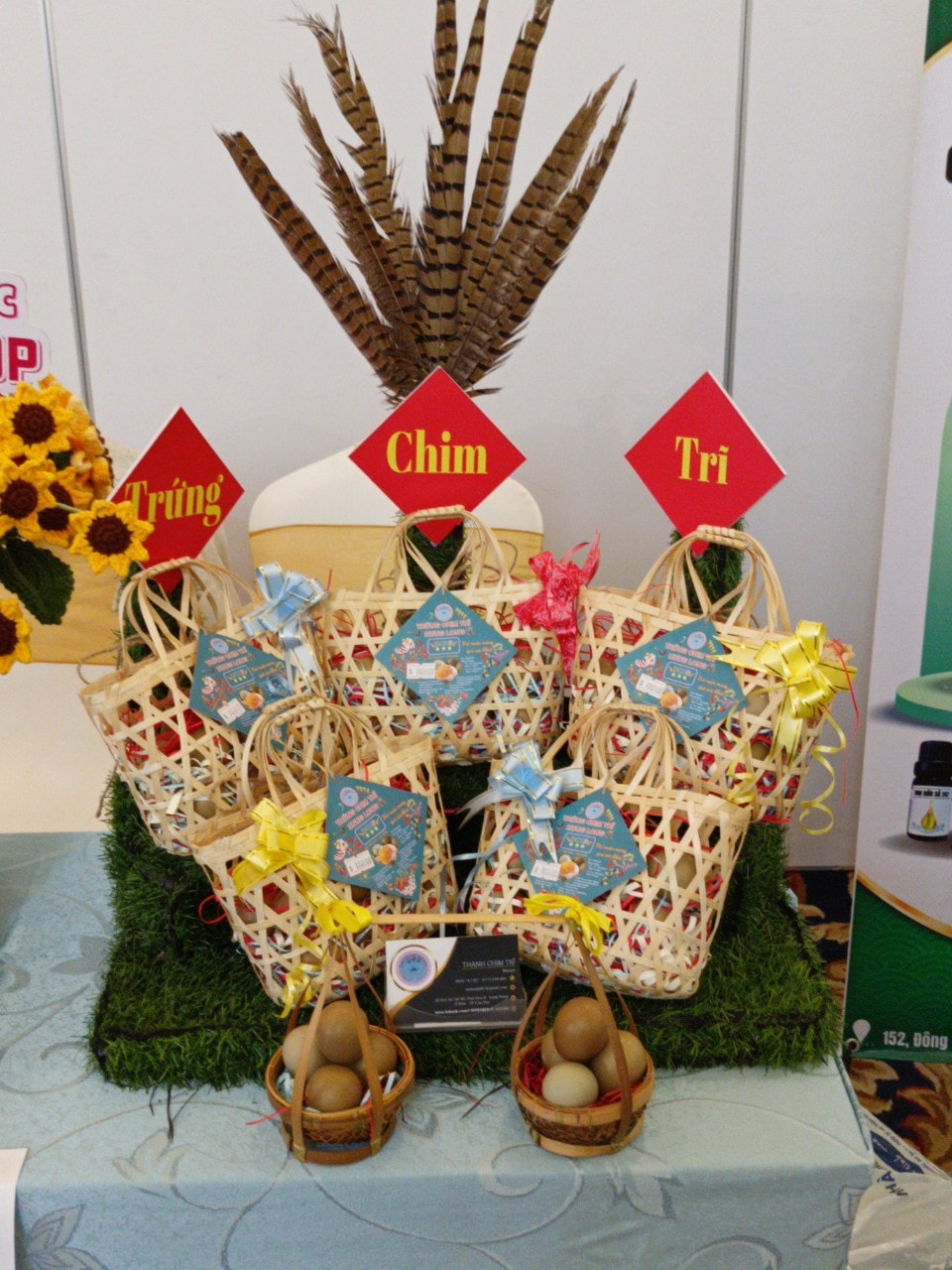 Cho chim trĩ nghe nhạc để... gia tăng sản lượng trứng! - Ảnh 7. Cho chim trĩ nghe nhạc để... gia tăng sản lượng trứng! - Ảnh 7.