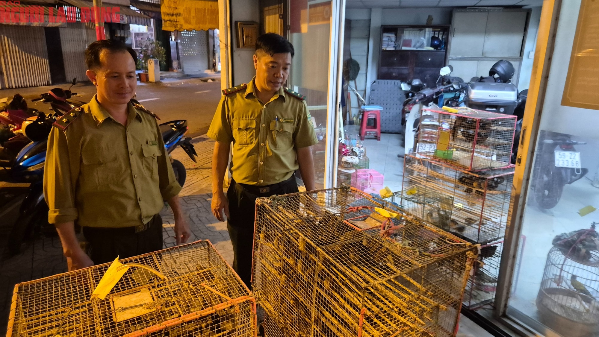 TPHCM xử lý tiểu thương lấn chiếm lòng đường bán chim hoang dã trái phép - Ảnh 2. TPHCM xử lý tiểu thương lấn chiếm lòng đường bán chim hoang dã trái phép - Ảnh 2.