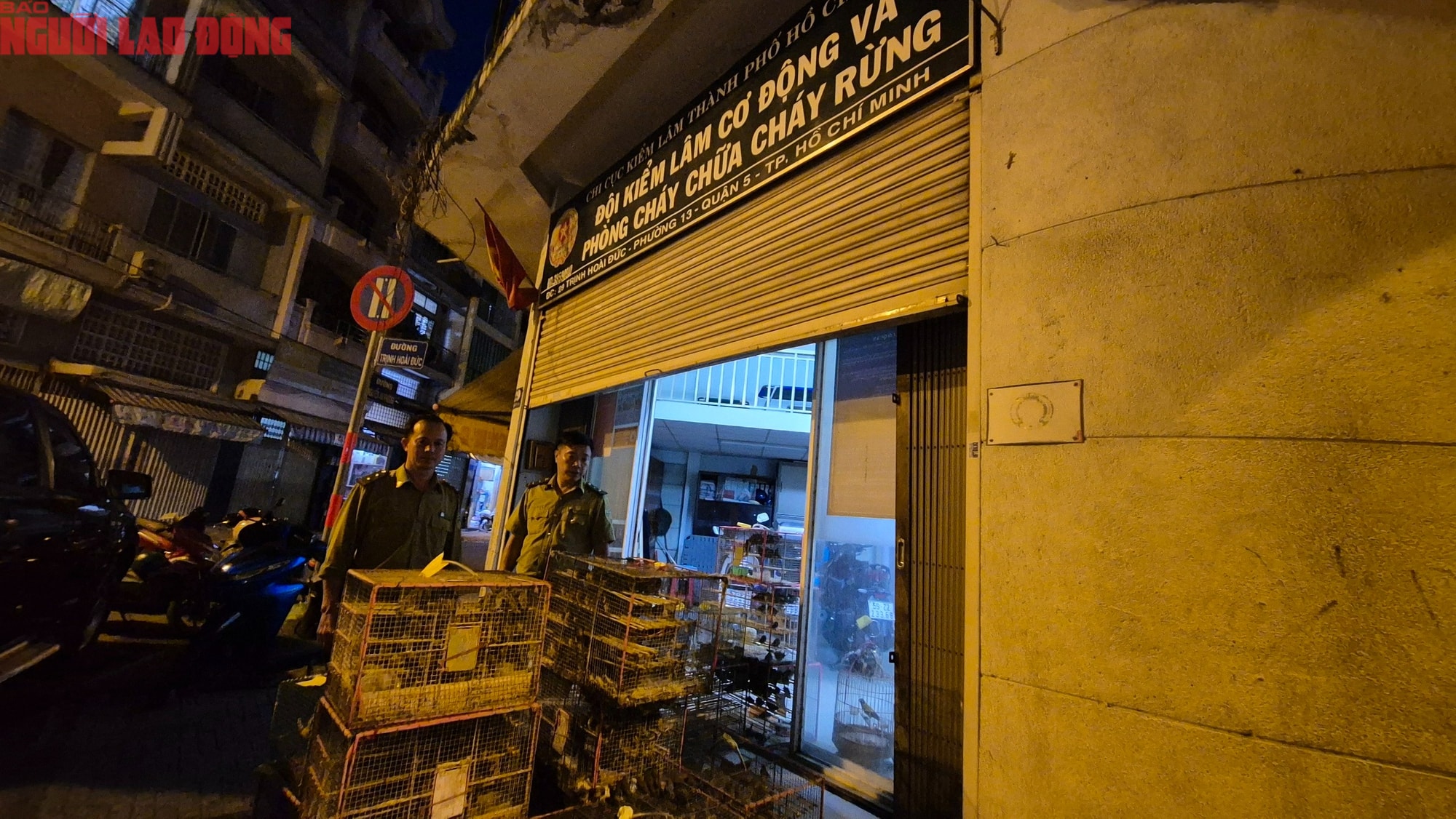 TPHCM xử lý tiểu thương lấn chiếm lòng đường bán chim hoang dã trái phép - Ảnh 3. TPHCM xử lý tiểu thương lấn chiếm lòng đường bán chim hoang dã trái phép - Ảnh 3.