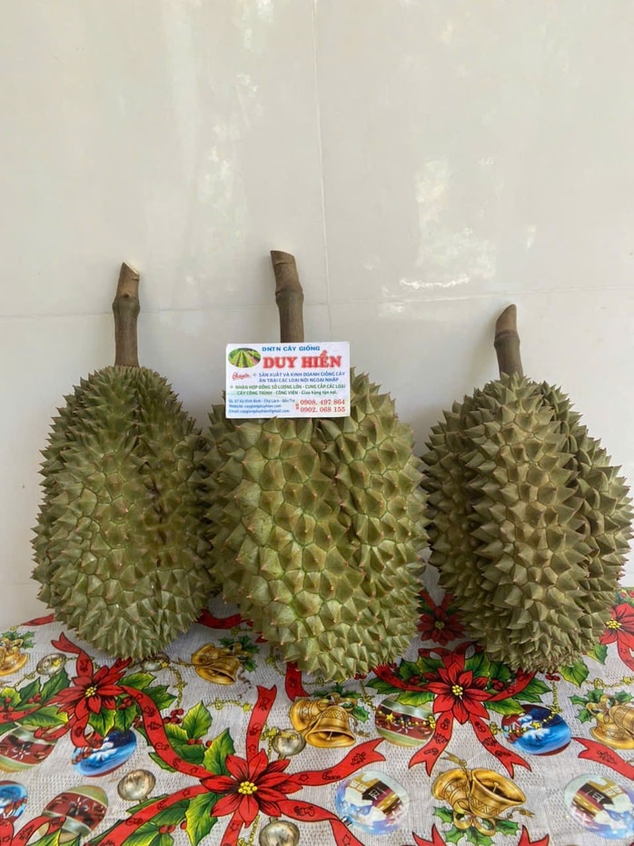 Loại sầu riêng bán 700.000 đồng/kg nhưng vẫn "cháy hàng" - Ảnh 2.