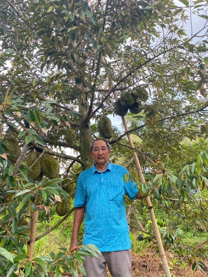 Loại sầu riêng bán 700.000 đồng/kg nhưng vẫn "cháy hàng" - Ảnh 1.