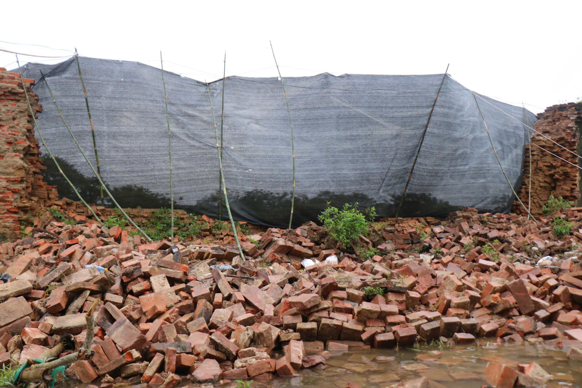 Thách thức bảo tồn di sản trước thiên tai từ vụ sập tường Hoàng thành Huế- Ảnh 1.